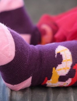 Galo de Barcelos Rosa