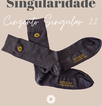 Calcetines Singular Cinza 22