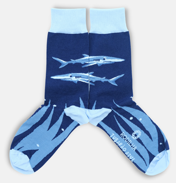 Chaussettes Requin Bleu