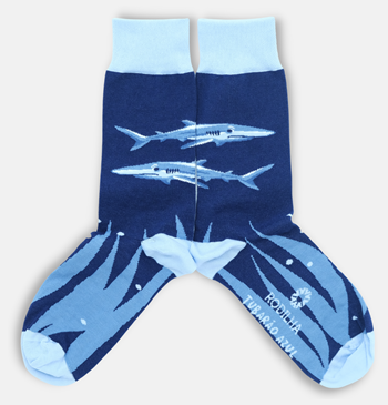 Calcetines de Tiburón Azul